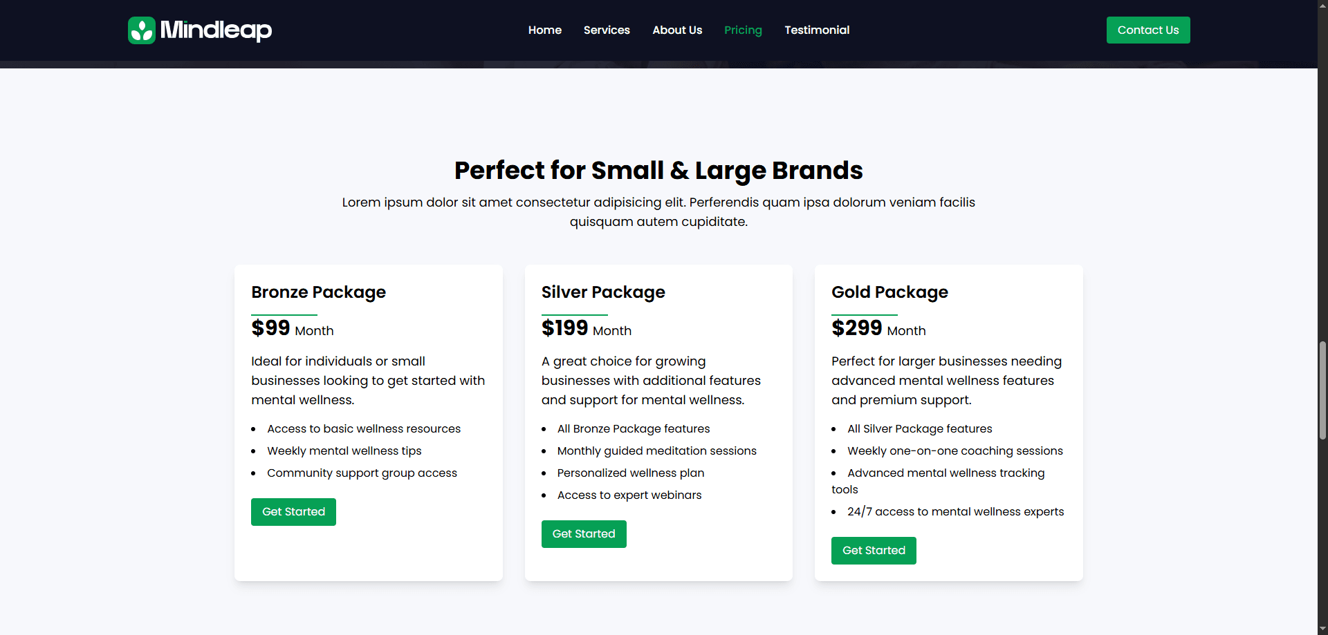 Mindleap Health Landing Page Screenshot 1 - MD Amdad Islam Portfolio